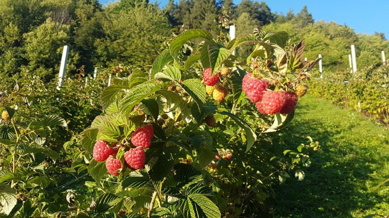 Ritschhof Pensionat Laion Eksteriør billede